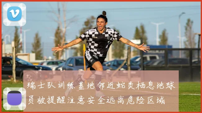 瑞士队训练基地邻近蛇类栖息地球员被提醒注意安全远离危险区域